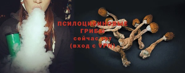 ГАЛЛЮЦИНОГЕННЫЕ ГРИБЫ Волосово