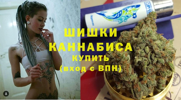 ГАЛЛЮЦИНОГЕННЫЕ ГРИБЫ Волосово