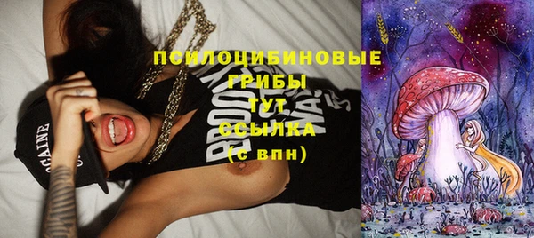 ГАЛЛЮЦИНОГЕННЫЕ ГРИБЫ Волосово