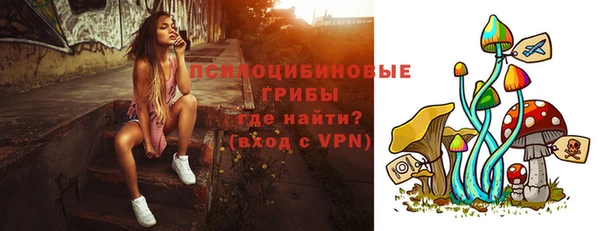 ГАЛЛЮЦИНОГЕННЫЕ ГРИБЫ Волосово